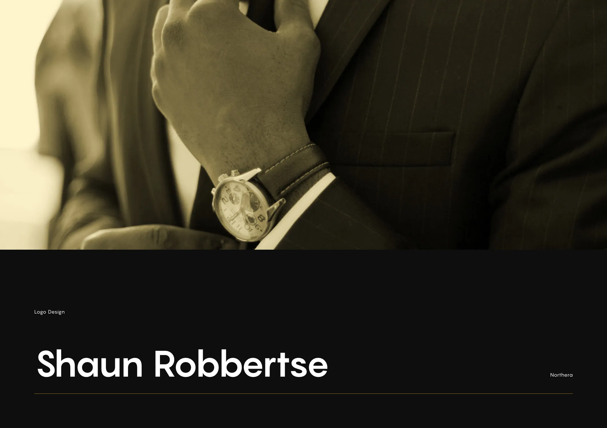 Shaun Robbertse brand identity 2